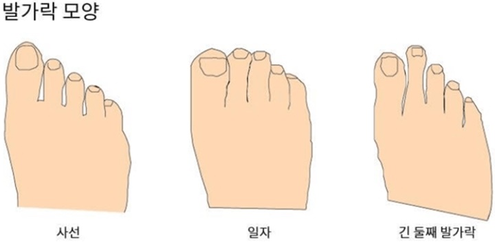 발가락의 모습을 보여주는 사진입니다. 발가락의 모양이 사선인지, 일자인지, 둘째 발가락이 긴 모습인지