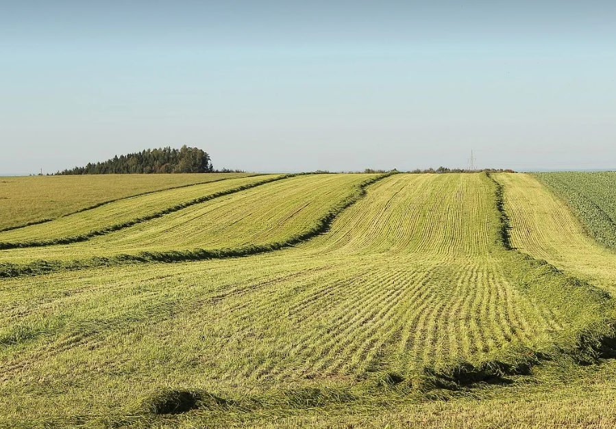 태양광과 바이오에너지 활용 (농업 관련 사진)