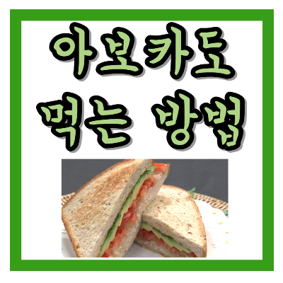 아보카도 먹는 방법