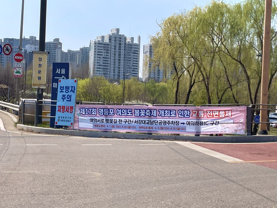 벚꽃