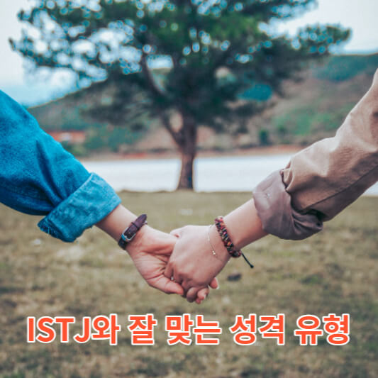 ISTJ와 잘 맞는 성격 유형