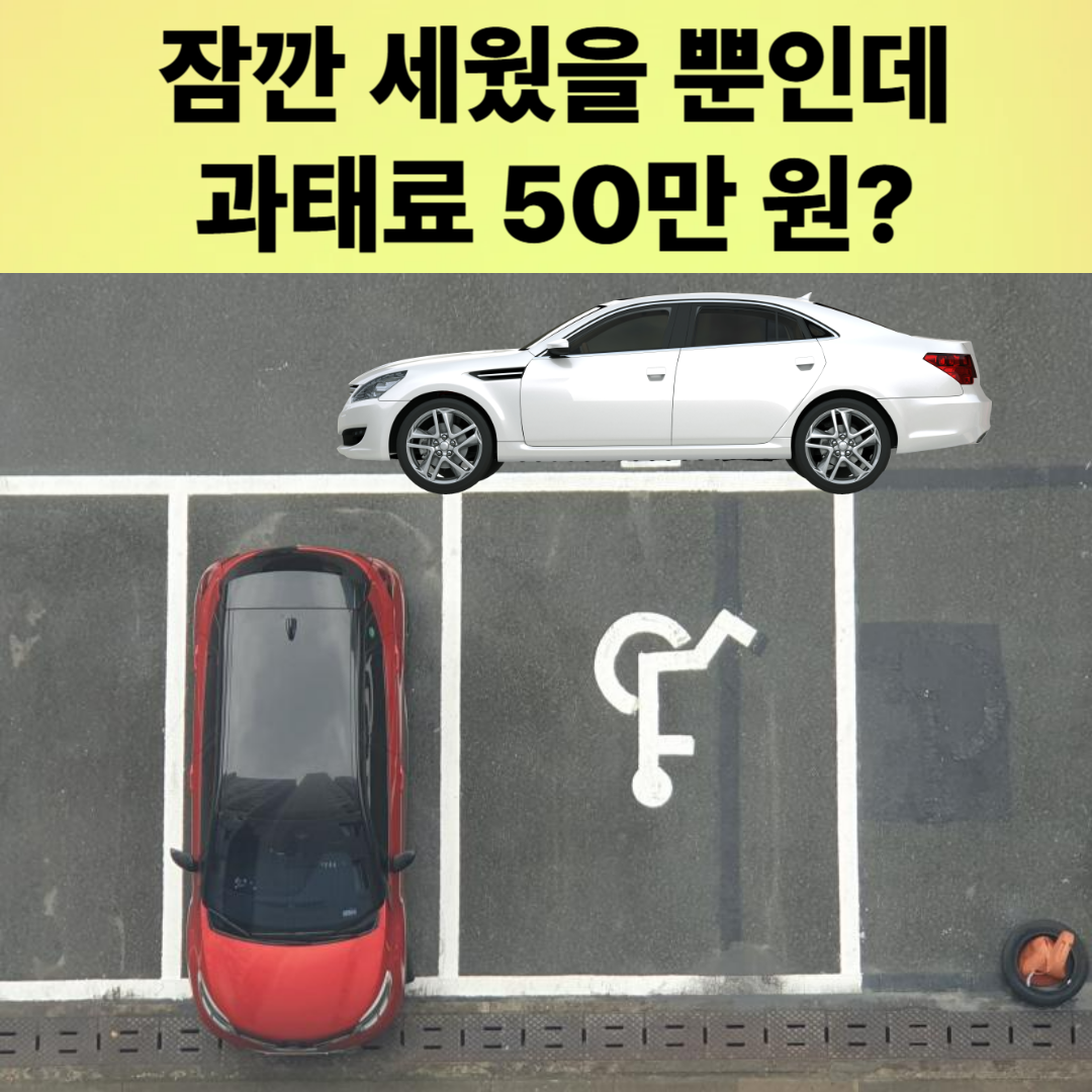 장애인주차구역 주차방해