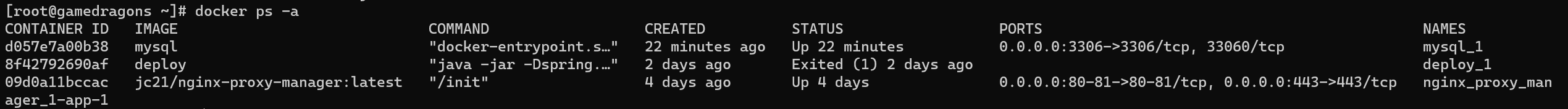 docker ps -a 실행 결과