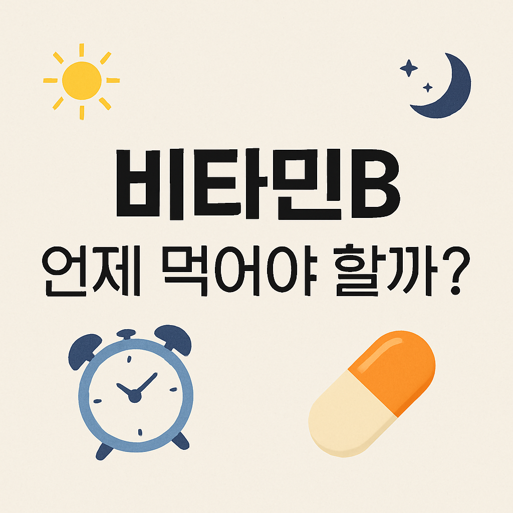 비타민B 언제먹어야할까에 대한 이미지