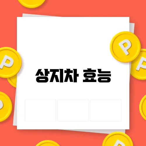 상지차 효능