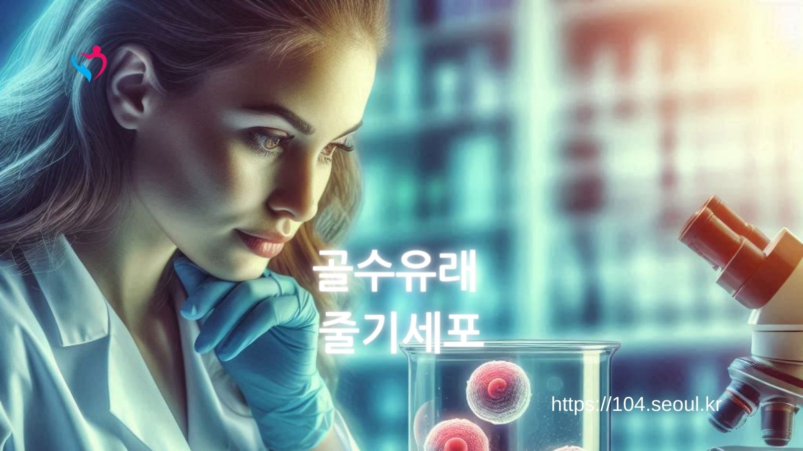 골수유래 줄기세포