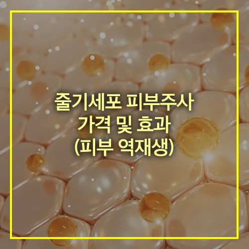 줄기세포 피부주사 가격 효과