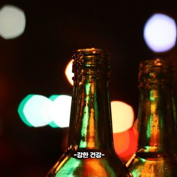 초파리 생기는 이유