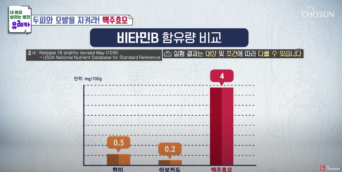 탈모 예방에 효과적인 맥주효모: 효능, 섭취 방법, 그리고 주의 사항