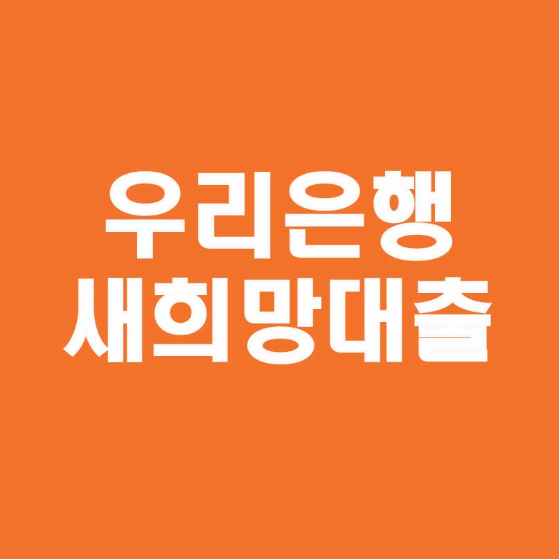 우리은행 새희망홀씨 대출금에 대한 설명을 5글자로 요약&#44; 우리은행 새희망대출이라 적혀있다