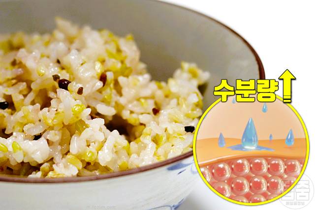 피부장벽 회복 음식 현미 세라마이드 함량 많은 식품