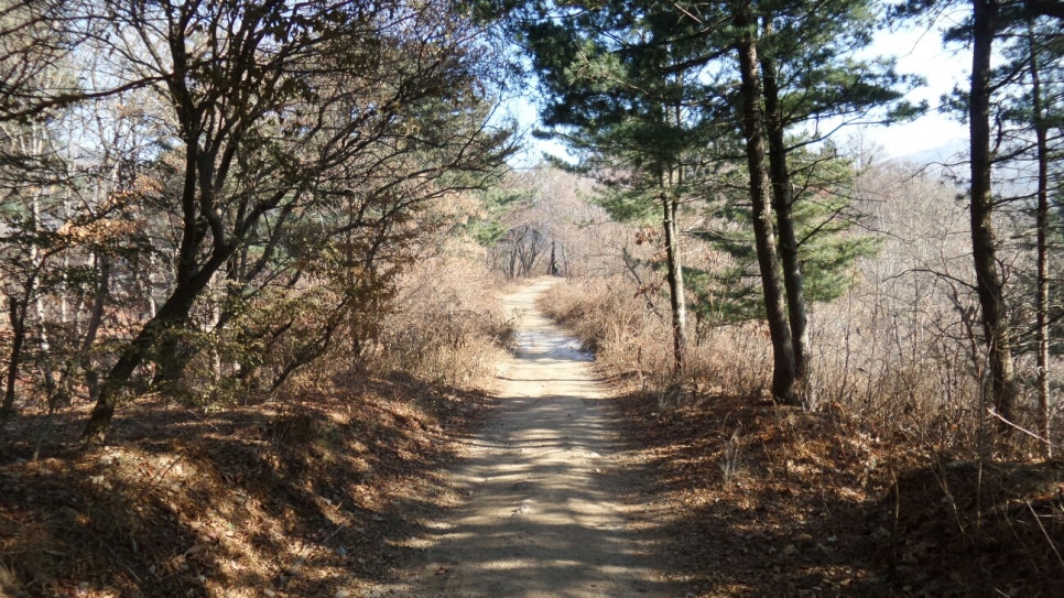 100대 명산 등산하기 다섯번째 유명할 만큼 아름다운 산 유명산 신령스러운 전설과 자연미&amp;#44; 역사문화가 어우러진 산 용문산 연계 산행 