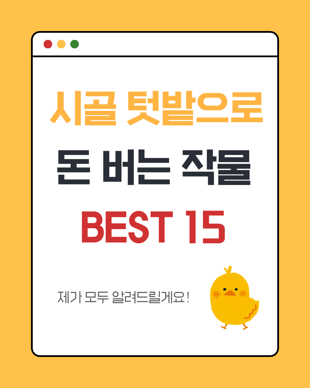 시골 텃밭으로 돈 버는 작물 BEST 15