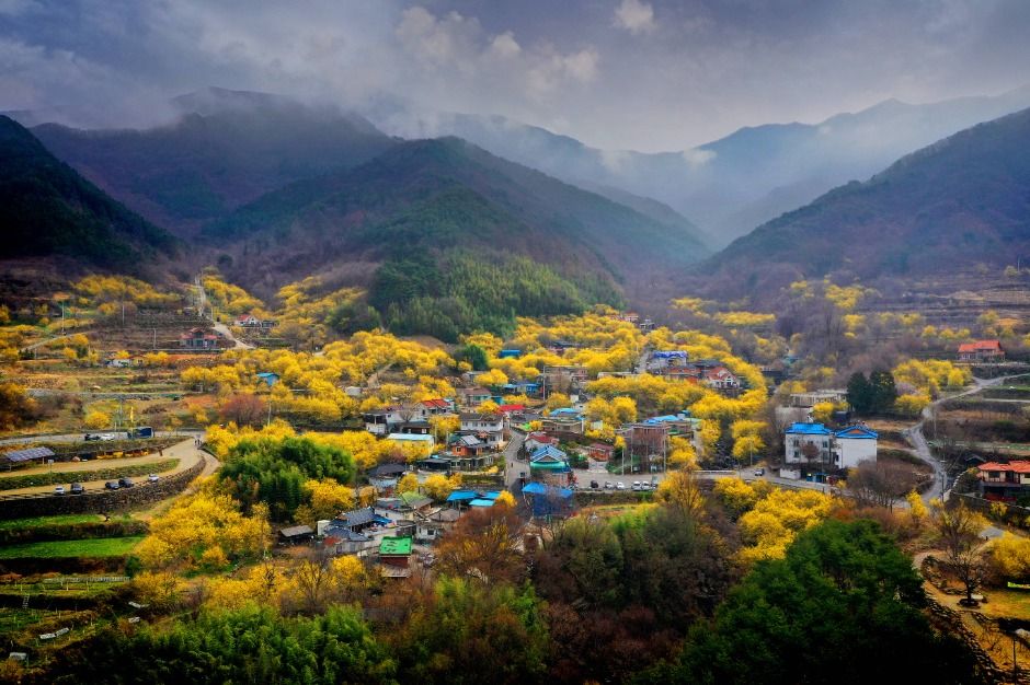 구례 산수유축제 포토존