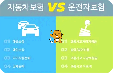 자동차보험vs운전자보험차이점을아시나요이미지/사진