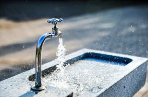 흐르는 물에 씻어준다.