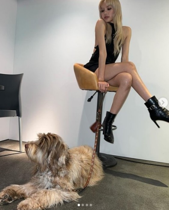 리사 나이 프로필 근황 (14)