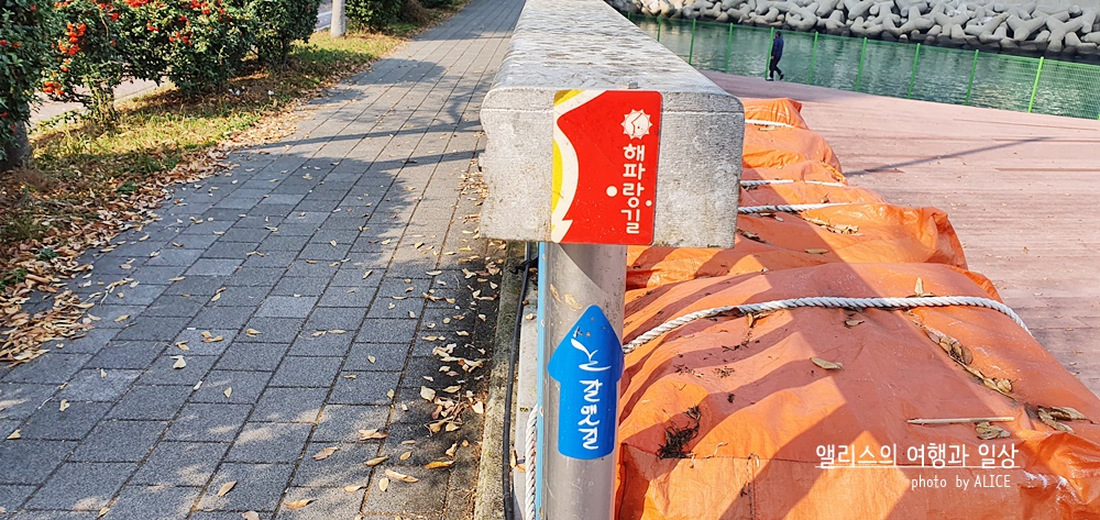 부산 켄트호텔 주변 가볼만한 곳 해변산책길 트레킹