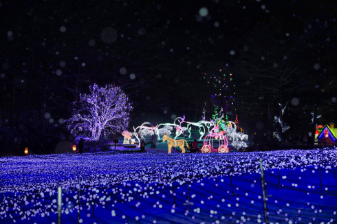 설연휴 여행지 국내여행 가족여행 나들이 호캉스