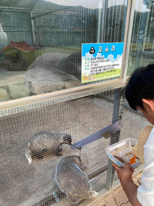 강릉 옥계 쌍둥이동물농장