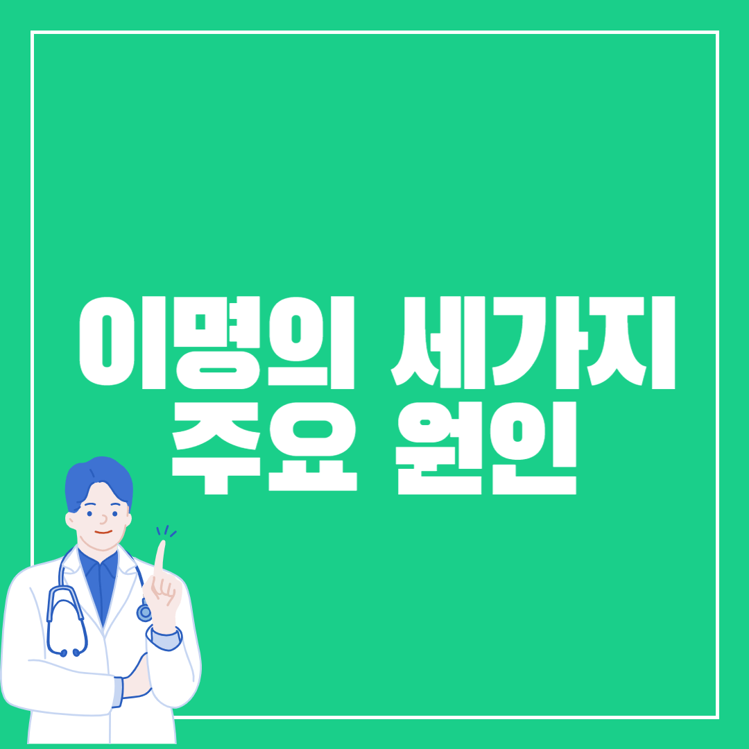 이명 주요 원인