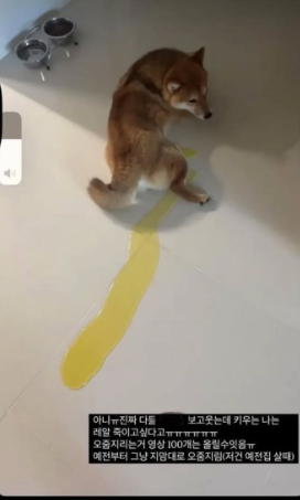 현대해상 광고모델 박설아