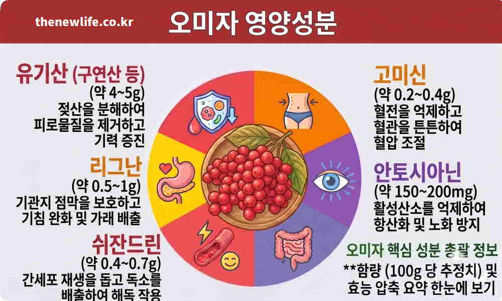 오미자 영양성분