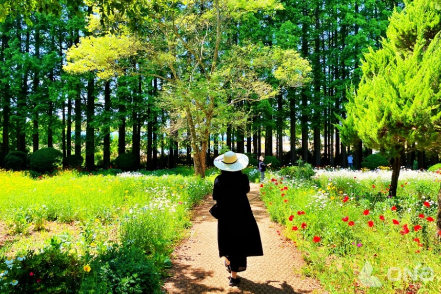 특색있고 아름다운 민간 정원 30선 추천 여행 - 28. 익산 아가페 정원