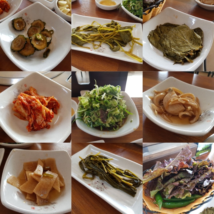 생방송오늘저녁 창녕 영산 점심 특선 뼈해장국, 돼지전골, 흑돼지 구이, 왕갈비 맛집 추천