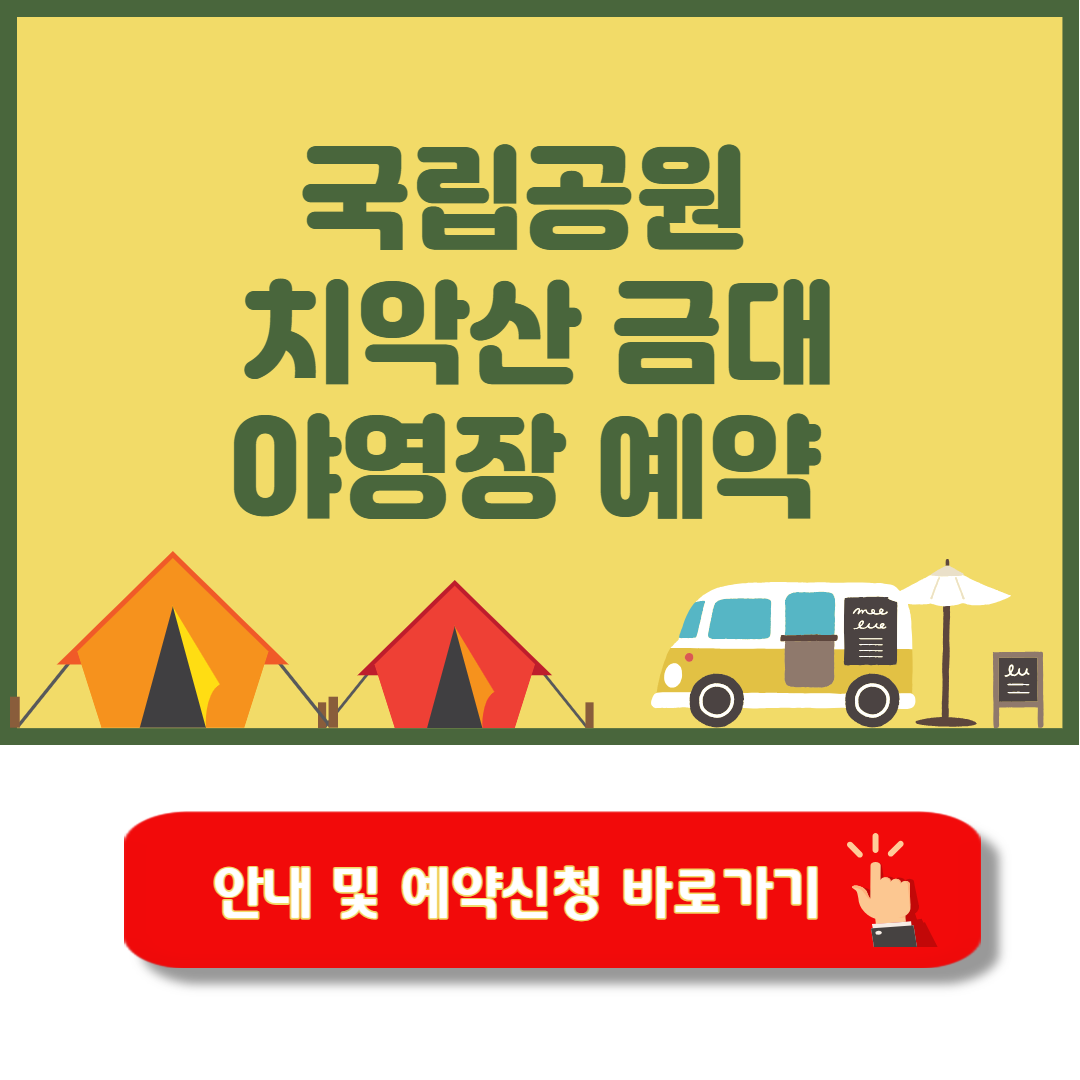 치악산 금대야영장 캠핑 가이드