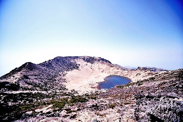 국민취업지원제도 1유형 신청방법