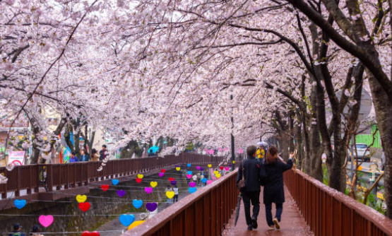 2026 진해군항제