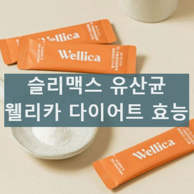 슬리맥스 유산균 내돈내산 후기 효과 slimax wellica 다이어트 후기 정리