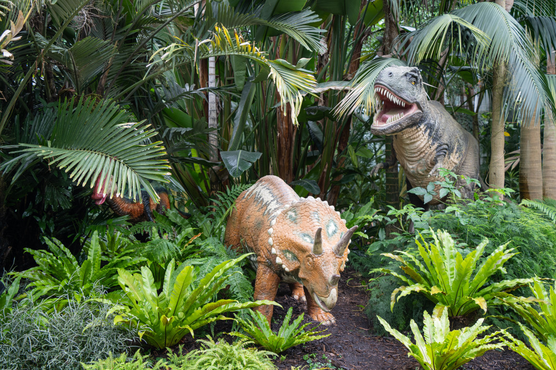 여미지 식물원 열대 정원