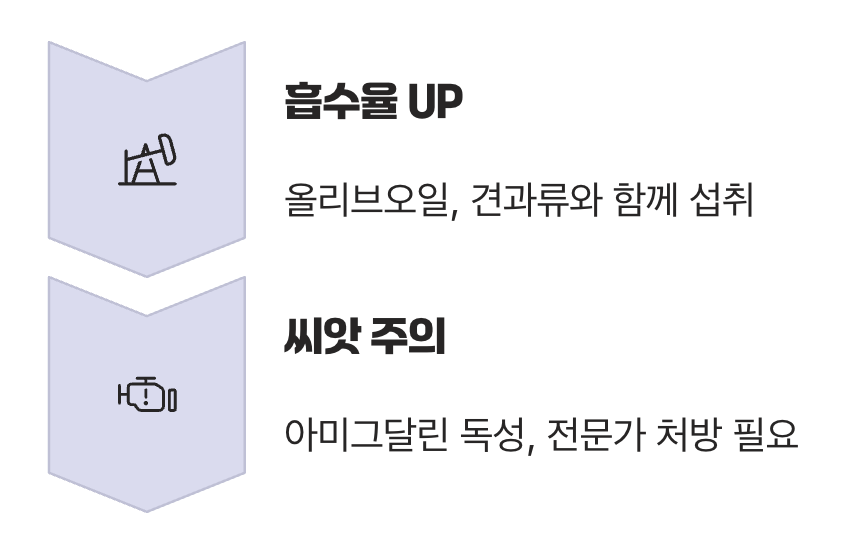 5. 똑똑하게 먹는 법과 주의사항