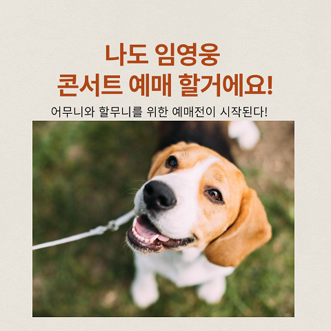 임영웅 2023년 하반기 연말 콘서트 정보