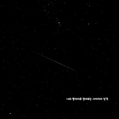 나의 별자리로 알아보는 사자자리 성격