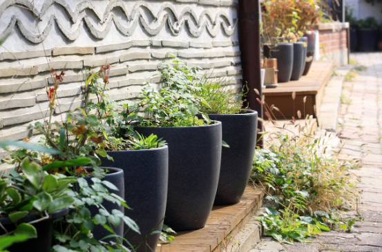 옛 시골학교와 교실 풍경 &ndash; 농촌 교육의 기억