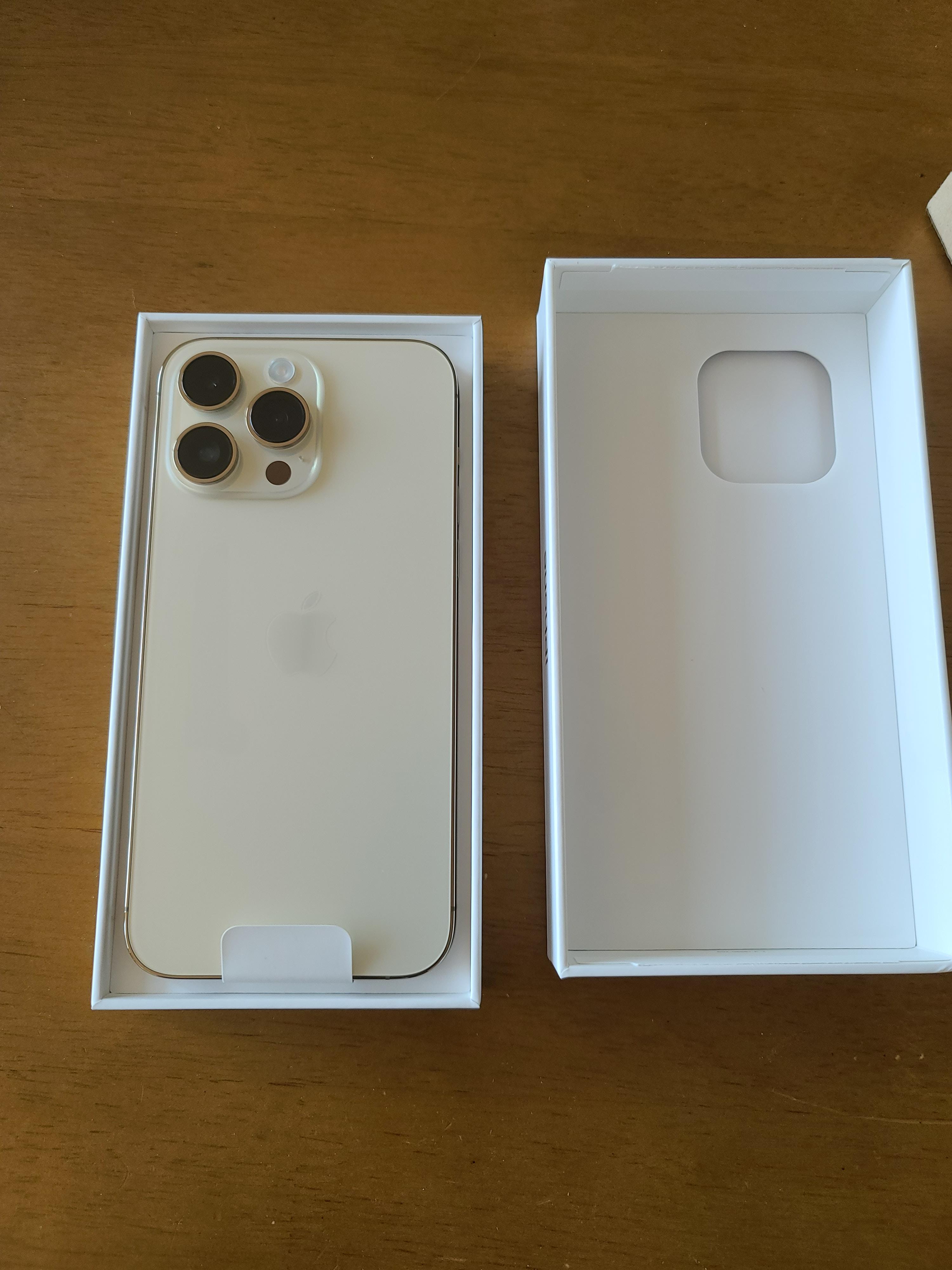 아이폰 14프로맥스로 찍은 호야! (feat.주댕이 출연 막둥이)