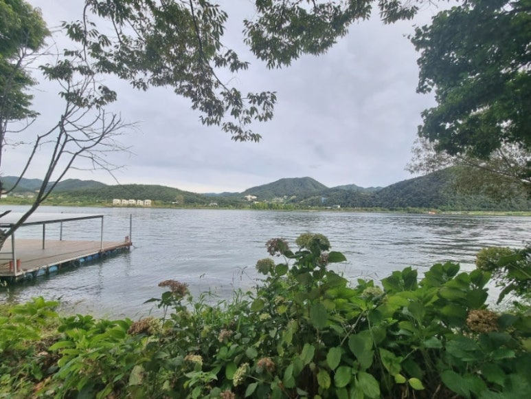남양주 숯불닭갈비 '북한강 막국수 닭갈비'
