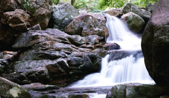 백운산-4대-계곡