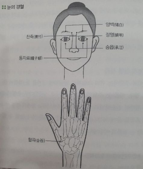 눈의 혈자리 그림