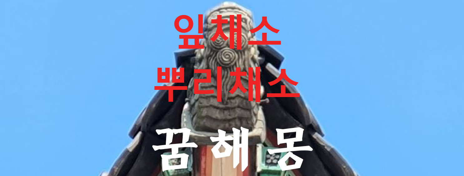 꿈해몽