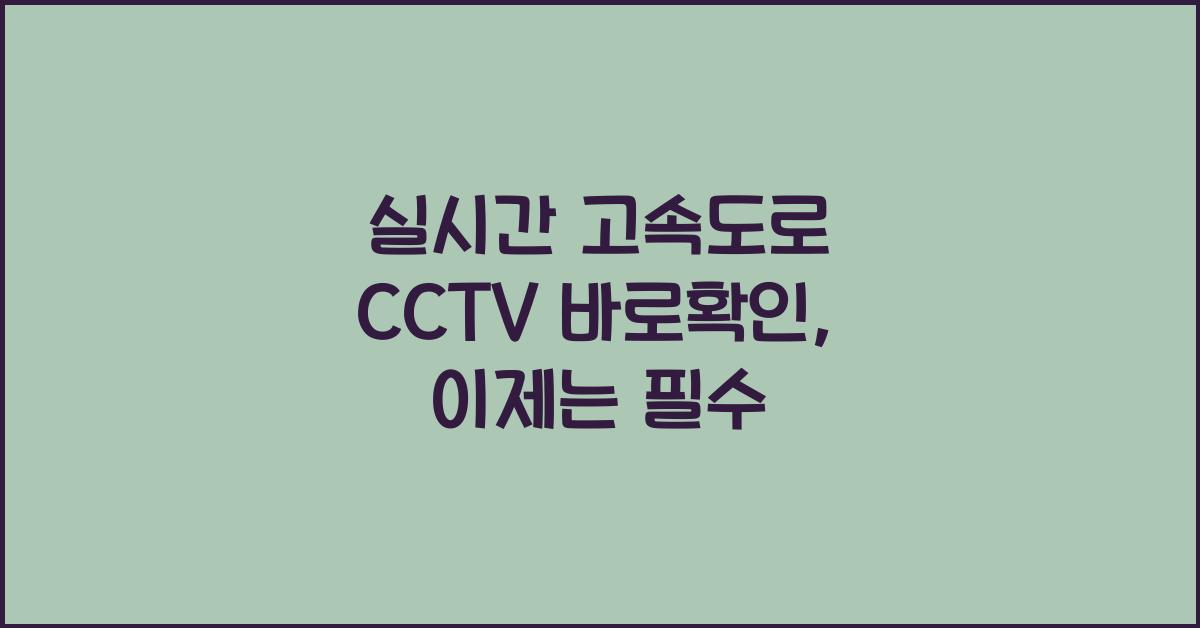 실시간 고속도로 cctv 바로확인