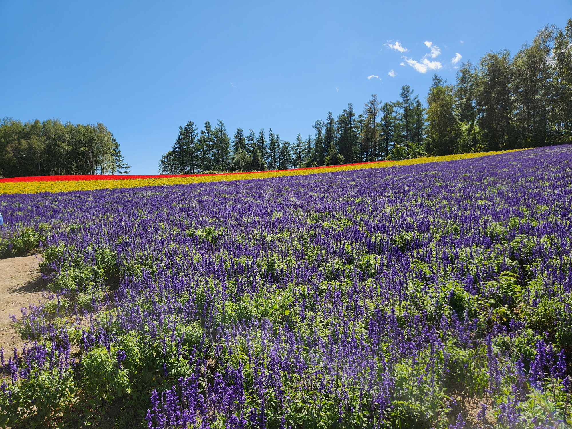 사계체 언덕 - 28