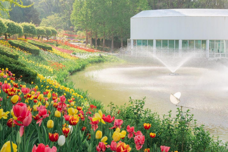 피나클랜드 수목원