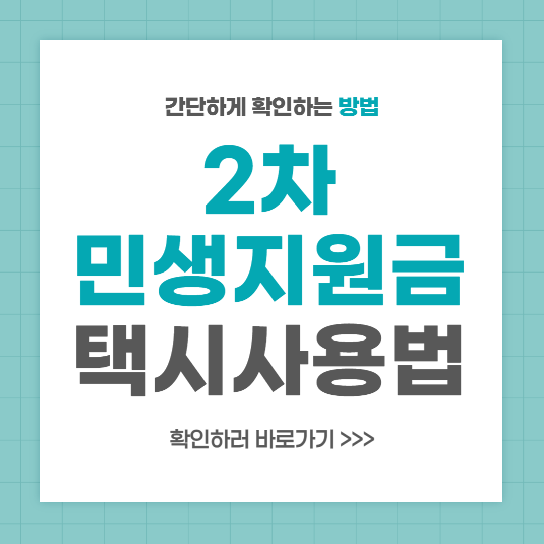 2025 2차 민생지원금 택시비