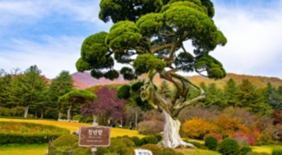 경기도가볼만한곳이미지