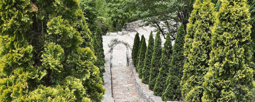 특색 있고 아름다운 민간 정원 30선 추천 여행 - 14. 고성 그레이스 정원