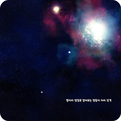 생일 별자리로 알아보는 쌍둥이자리 성격